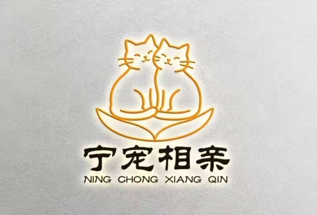 宁宠相亲